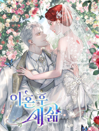 A New Life After Divorce Cover